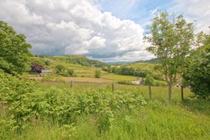 Photo 31- click for photo gallery